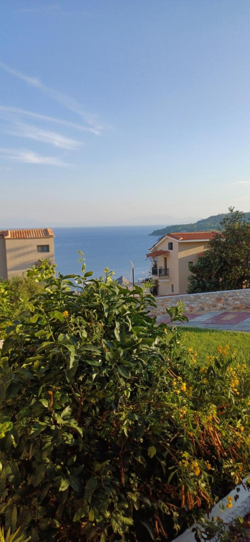 Elenis Village Αχλαδιές Εξωτερικό φωτογραφία